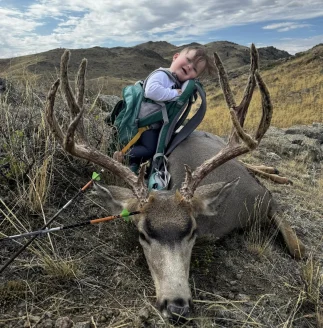 A big 5x5 mule deer taken by hunter with toddler in backpack. 