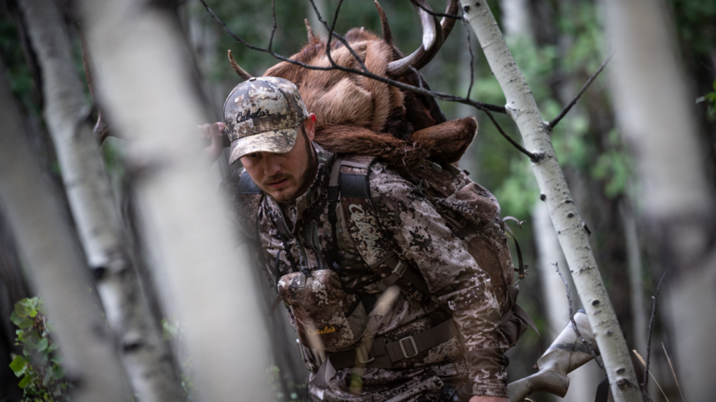 Hunter packing out an elk wearing Cabela's hunting apparel