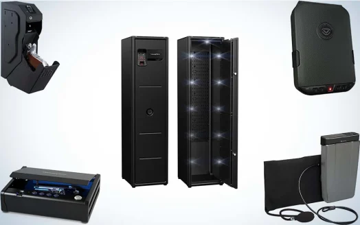 Best Biometric Safes