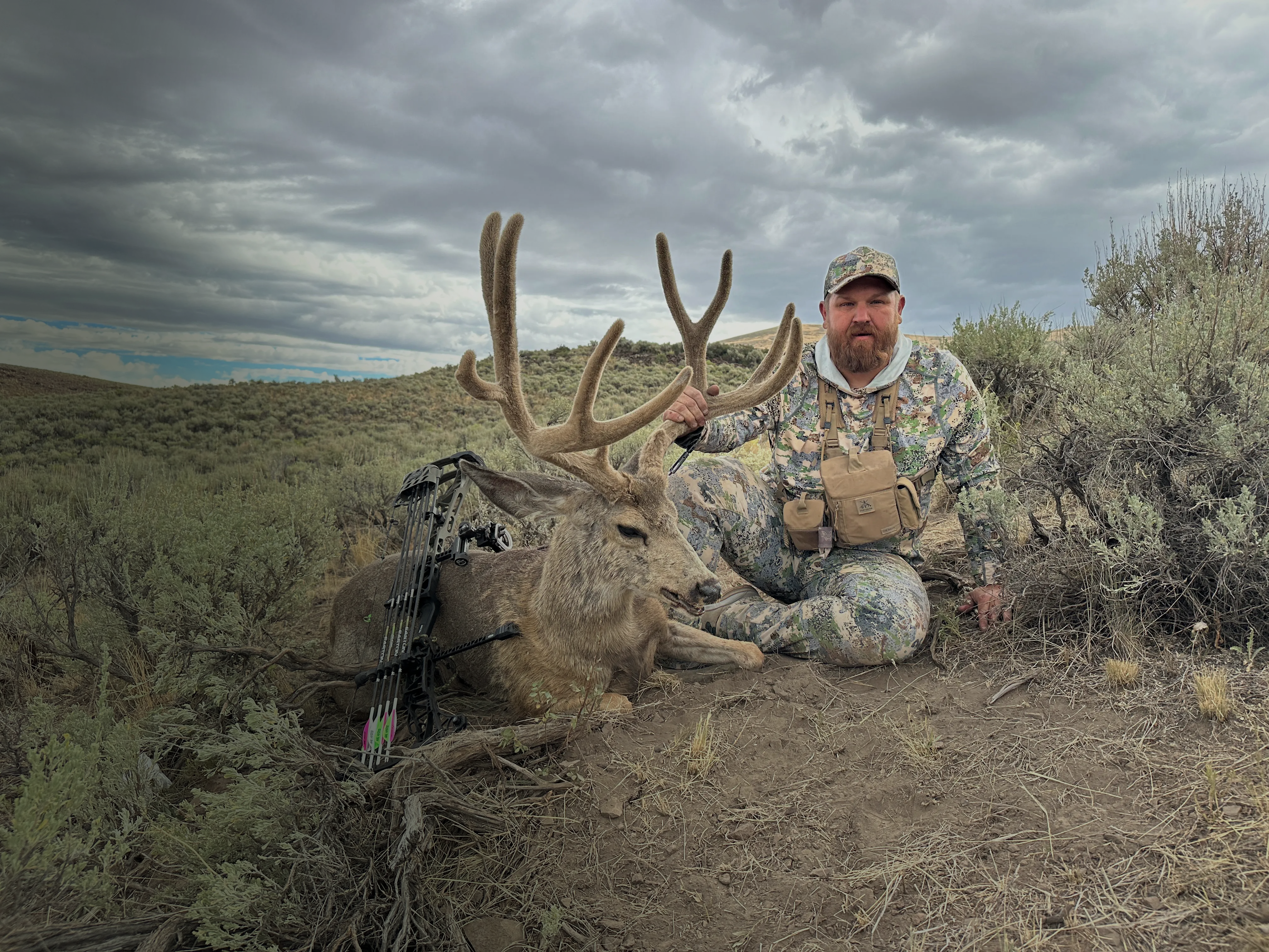 best mule deer dark