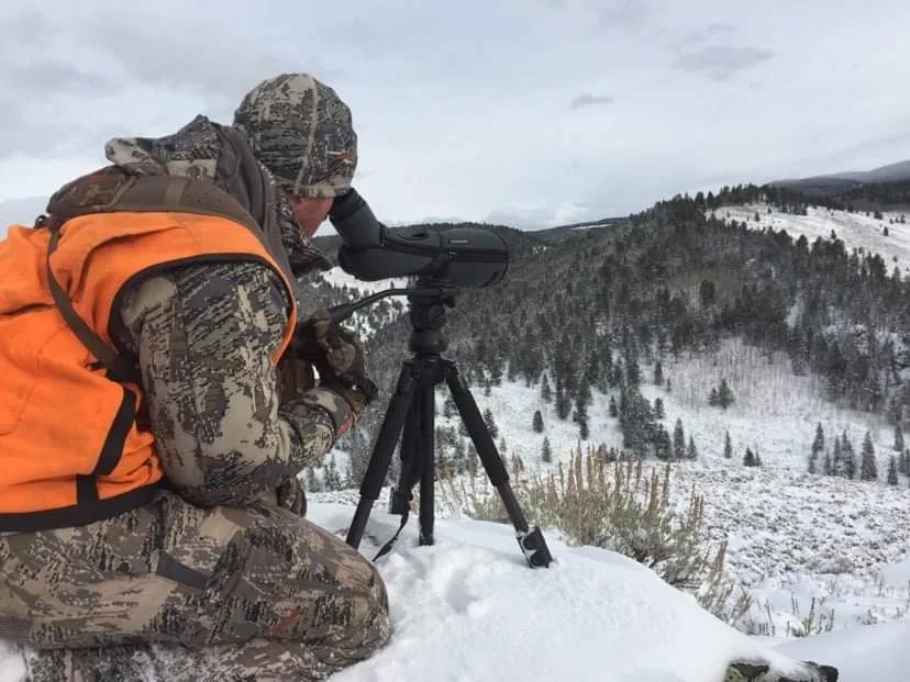 Elk hunter glassing