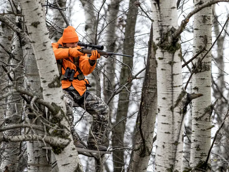 deer hunter in treestand