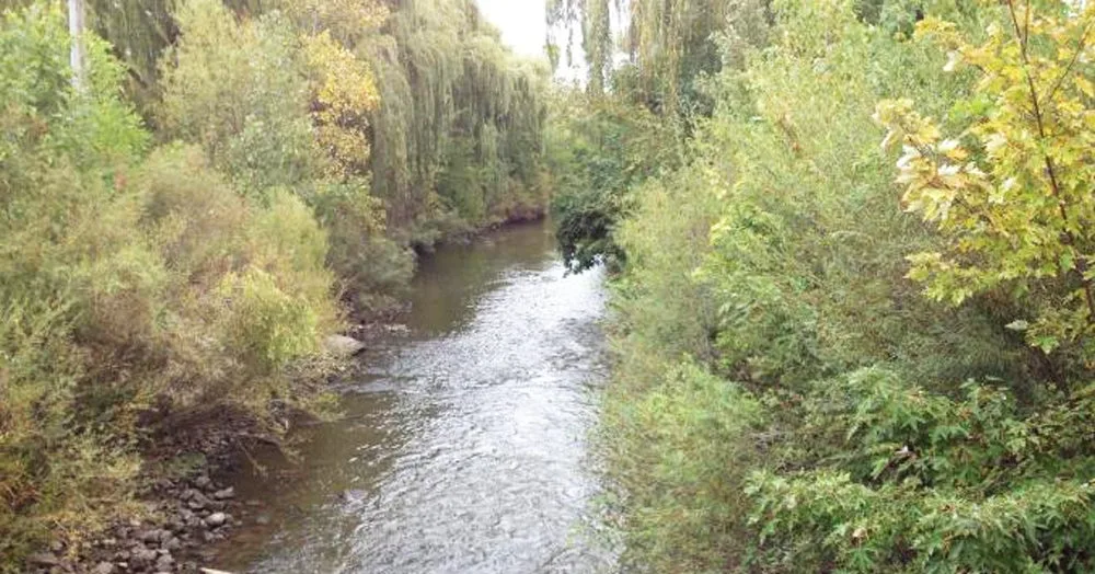 polluted Michigan river,