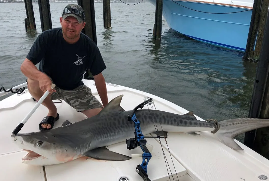 A bow fisherman poses with a world record tiger shark.