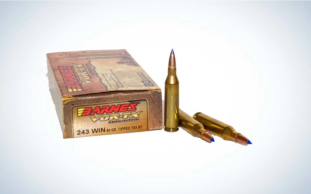 243 winchester