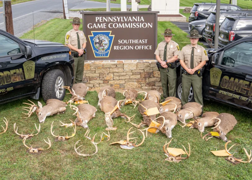 Game wardens pose with taxidermy seized during a poaching bust in Pennsylvania.
