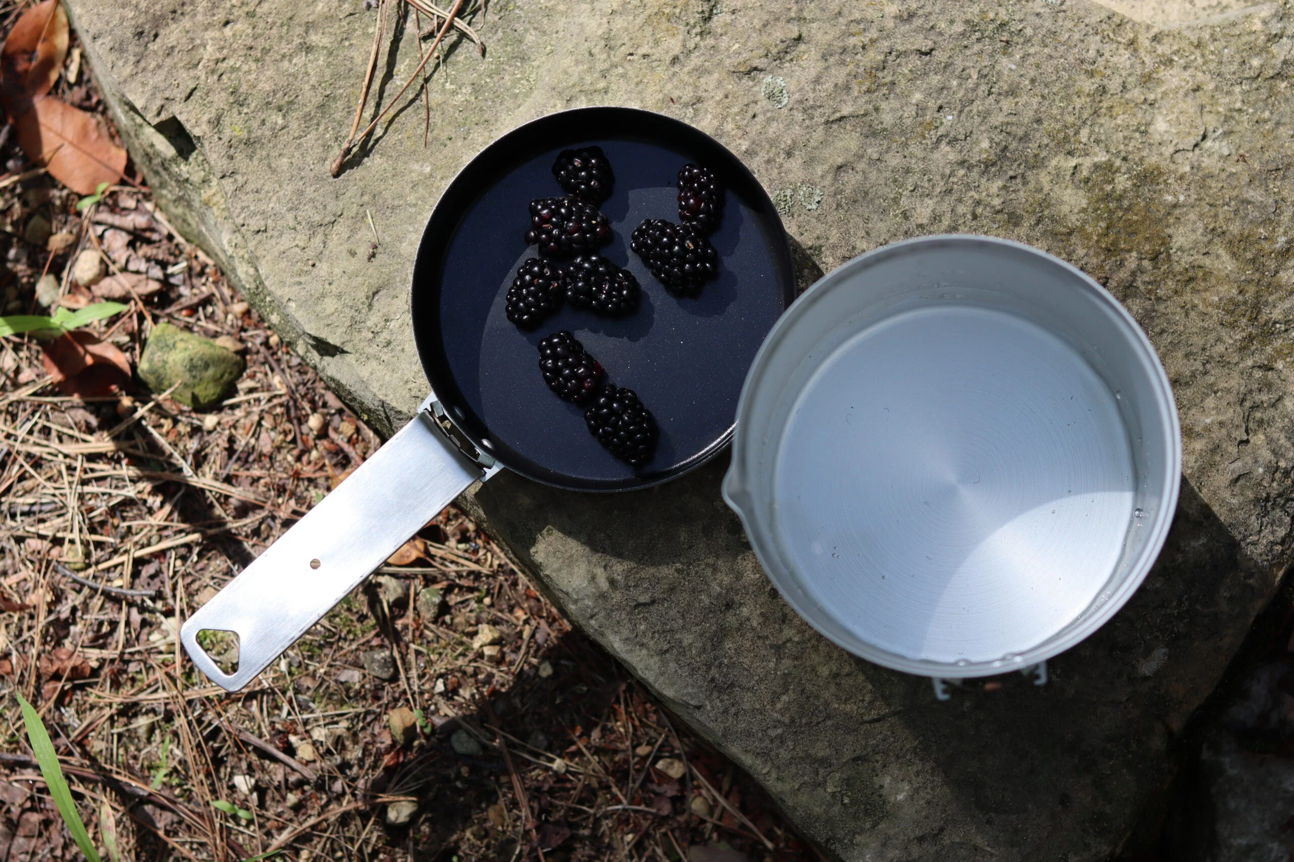 The author reduces wild blueberries on his