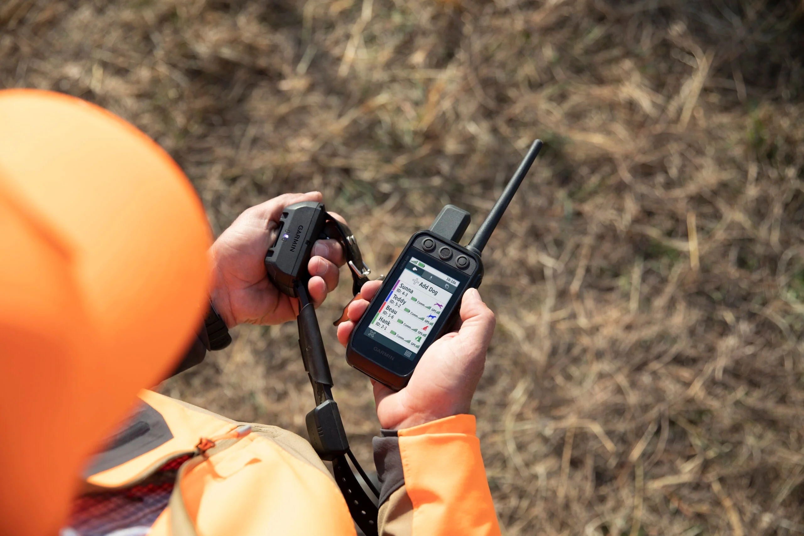 hunting using e-collar