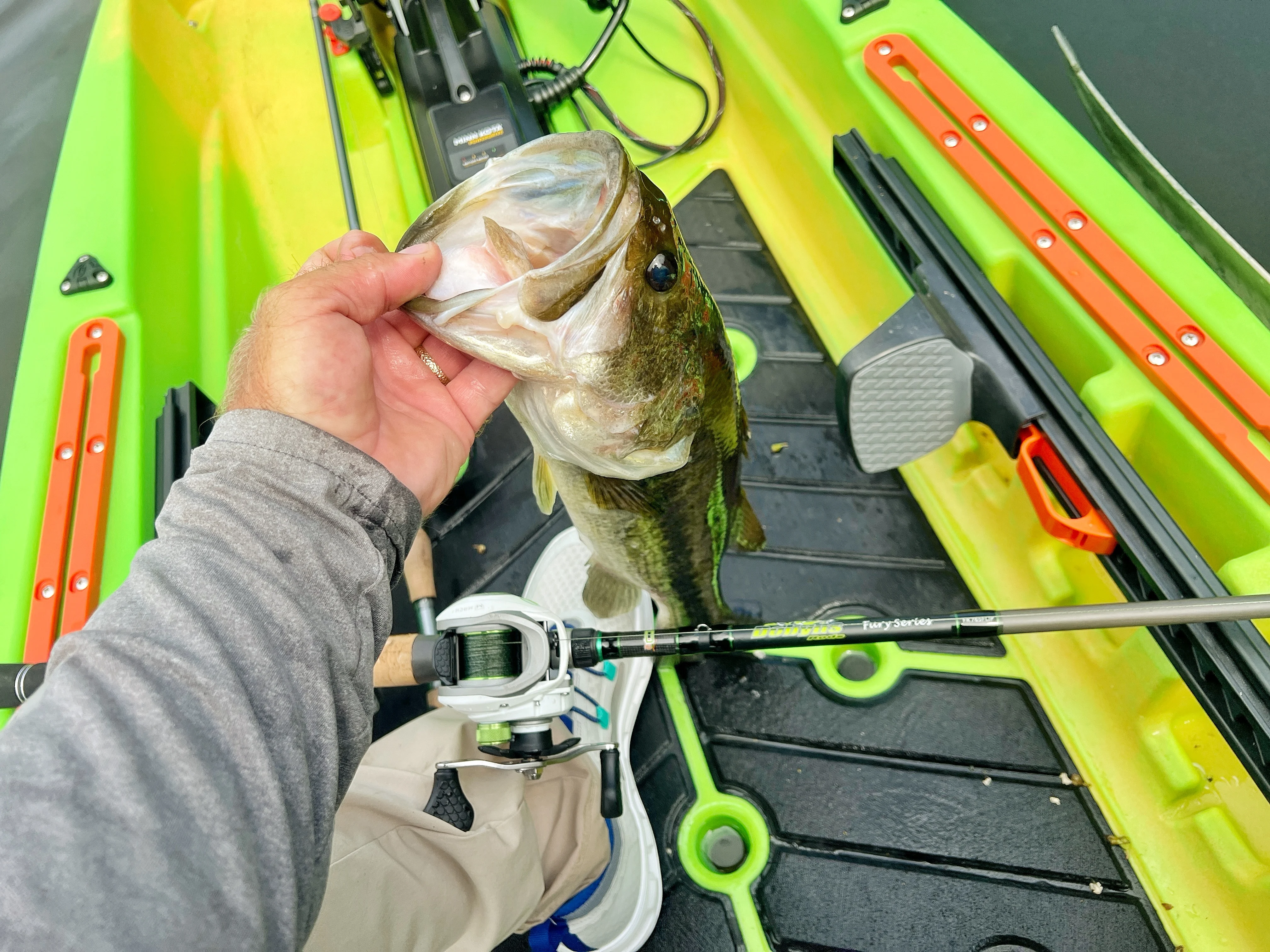 Angler holding fish on old town 136