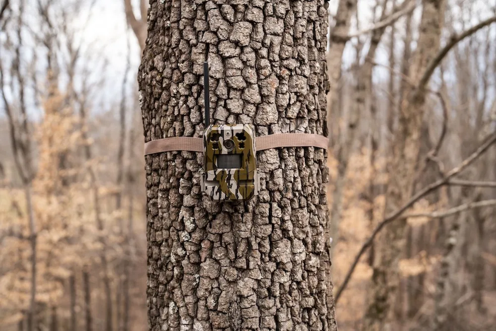 Moultrie Mobile Edge Pro Cellular Trail Camera mounted on tree