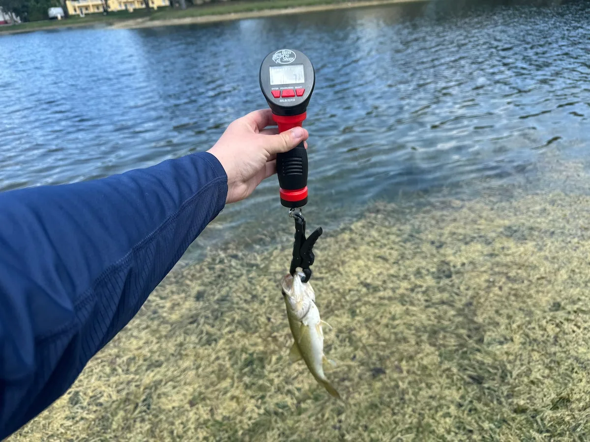 Angler weighing fish with Bass Pro XPS Fish Scale