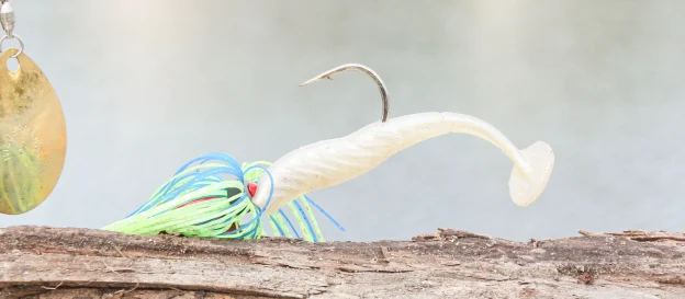 A Paddletail swimbait rigged to a spinnerbait.