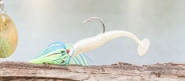 A Paddletail swimbait rigged to a spinnerbait.