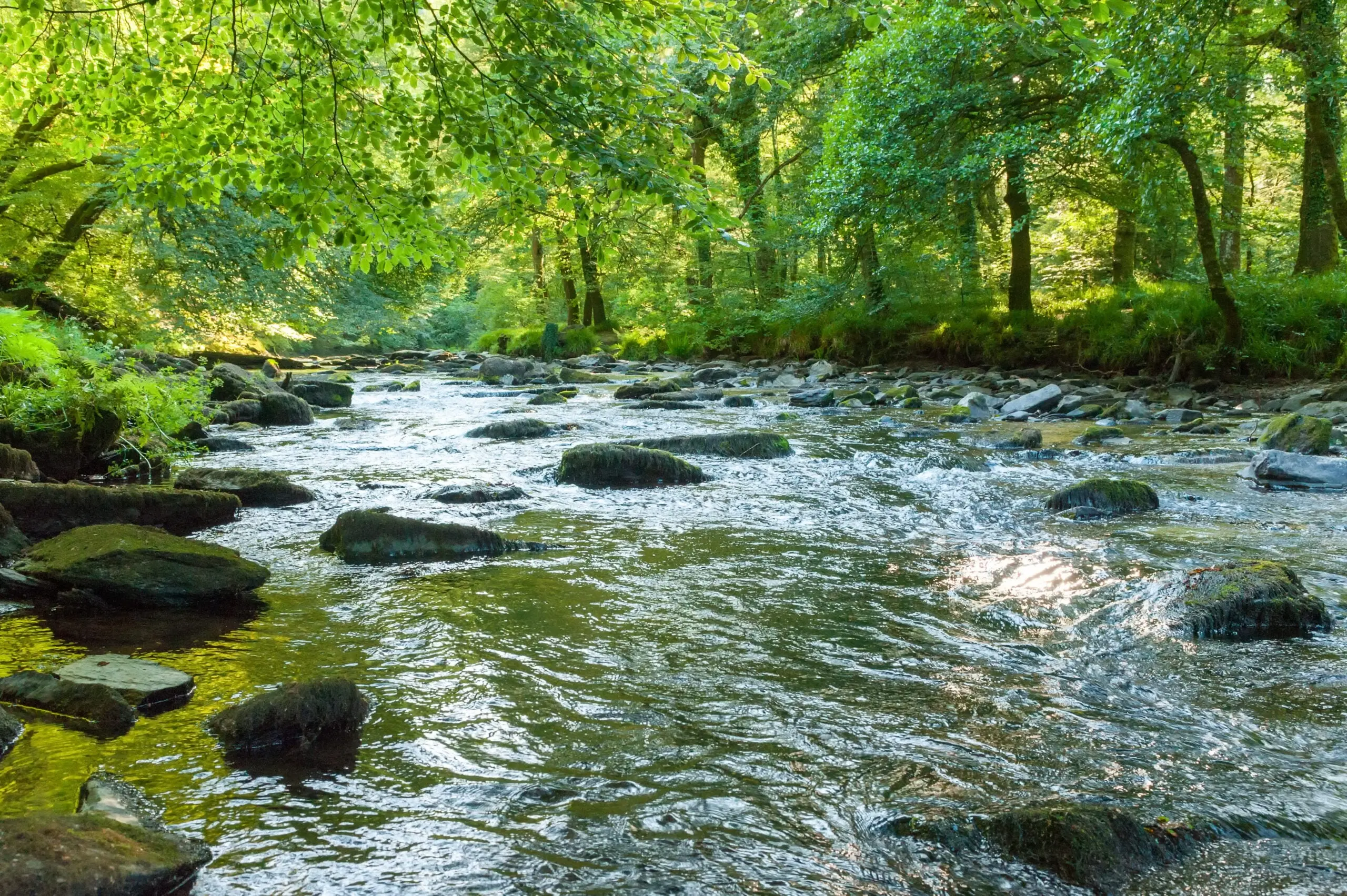 Cold water streams are great places to target summer smallmouth.