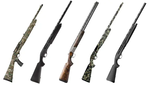 row of shotguns on white background