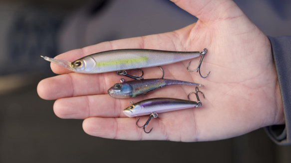 Three Berkley Fishing Forward-Facing Sonar Baits laying on fisherman's open hand