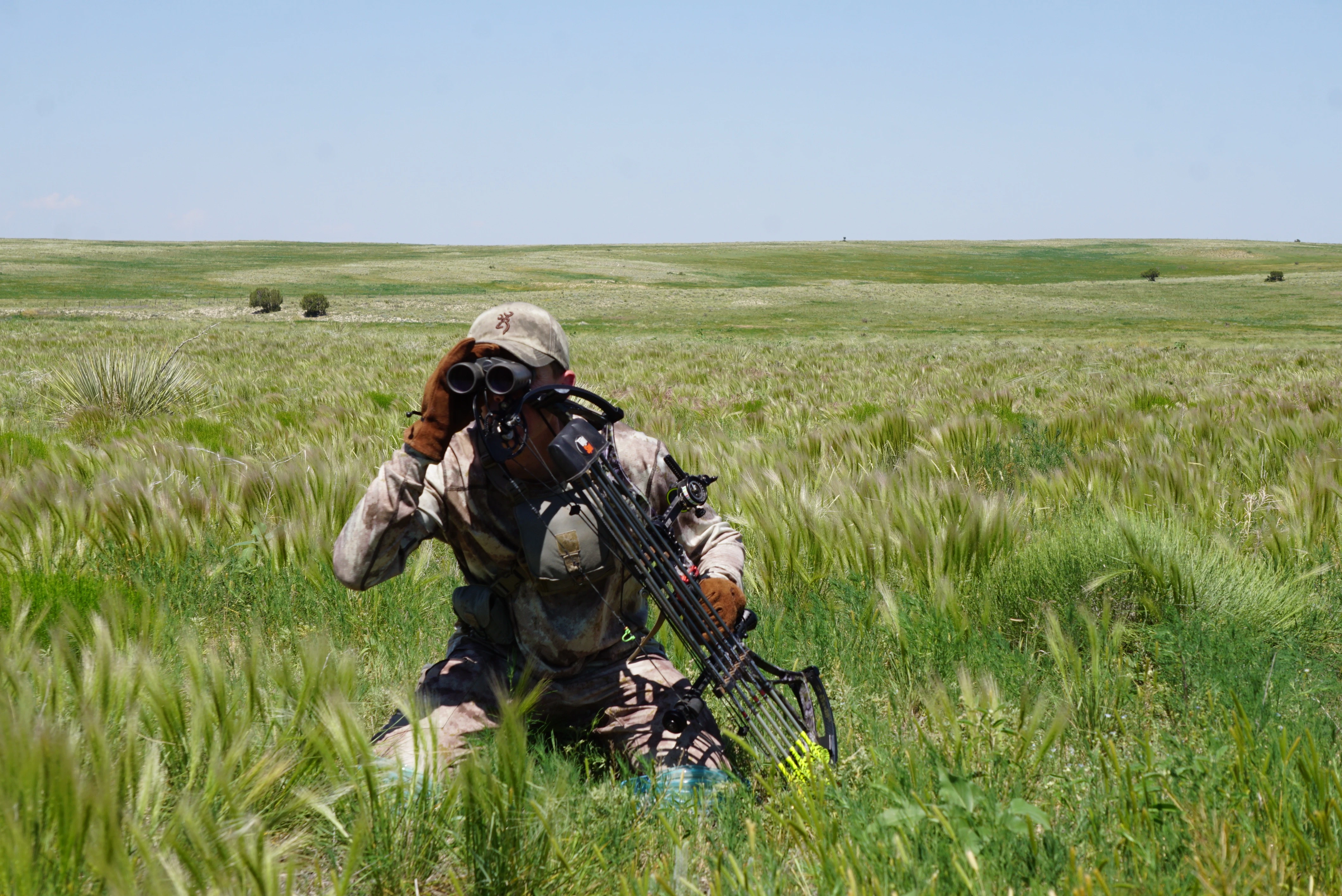 Bowhunter kneels in grass while looking through binoculars in an open field