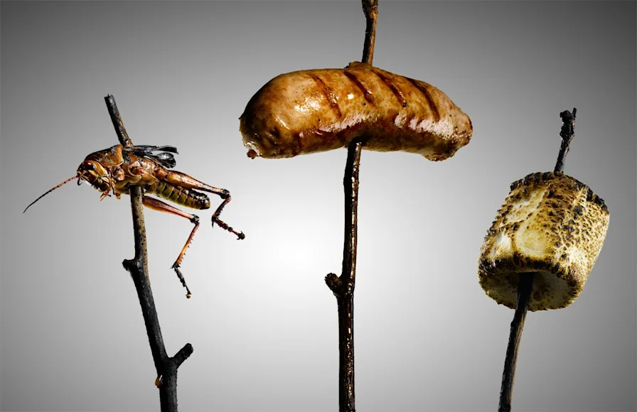 httpswww-fieldandstream-comsitesfieldandstream-comfilesimport2014importimage2009photo23090429_2page-jpg