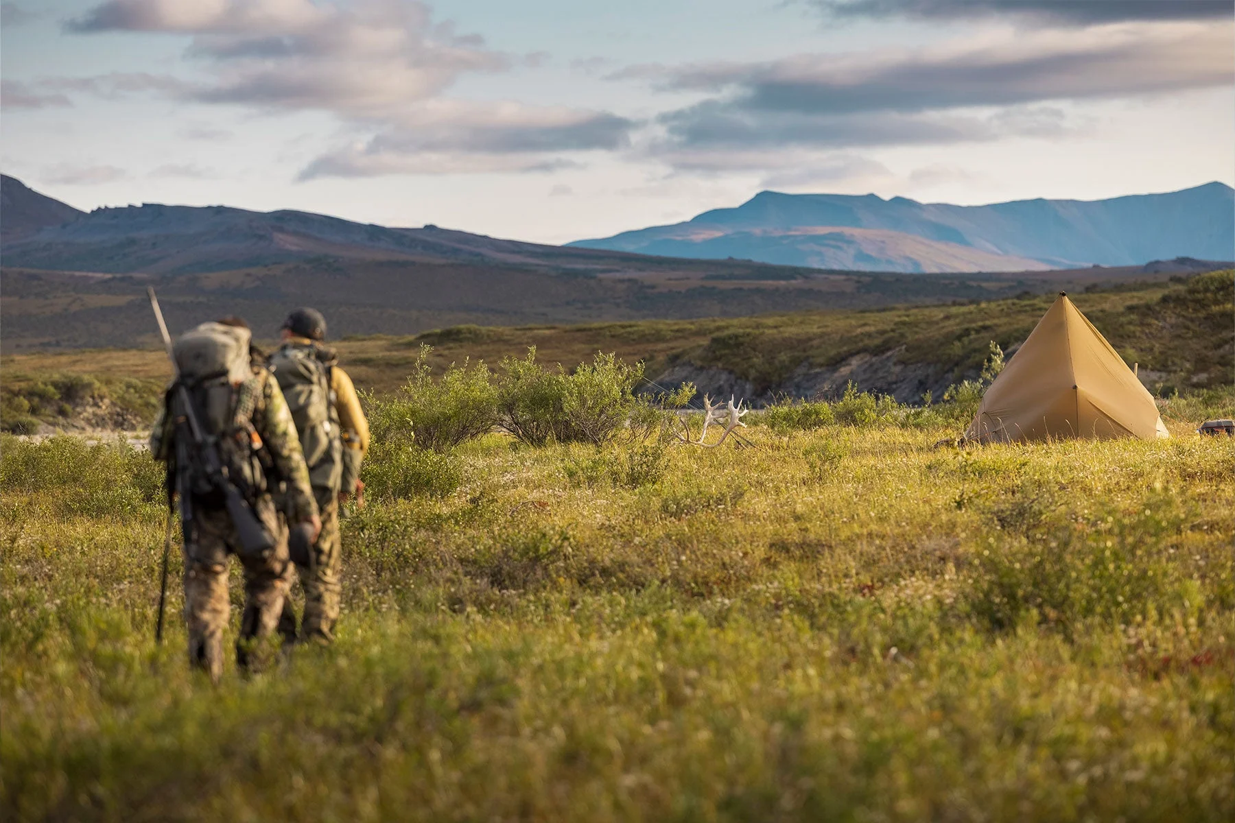 Bear Conservation photo