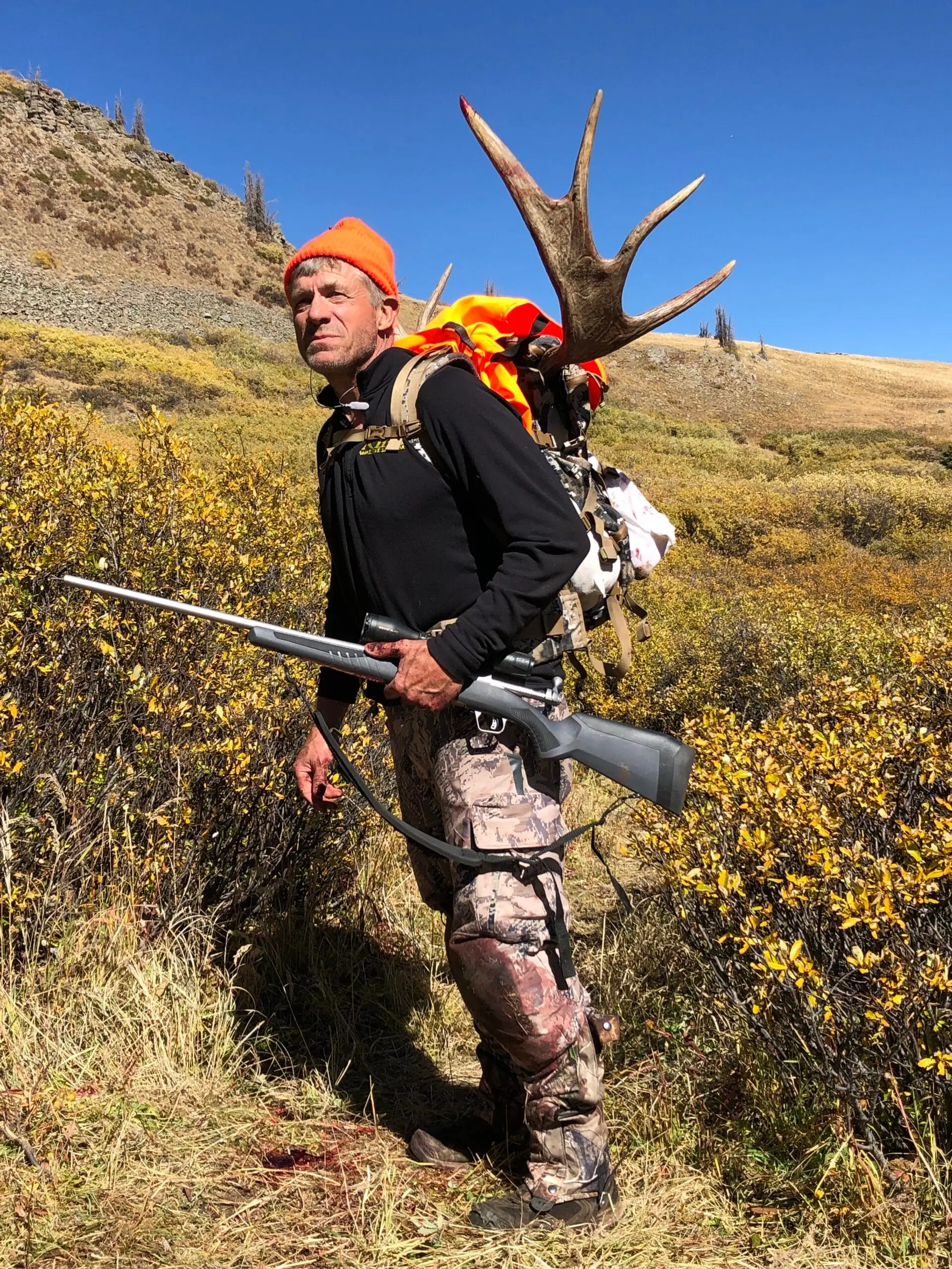 Moose hunting: man walking with a backpack full of moose meat.