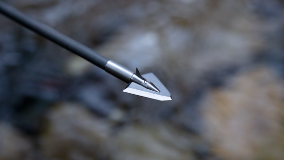 Close-up of Iron Will Single Bevel Broadhead