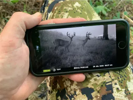 A hunter viewing trail camera footage on their cell phone.