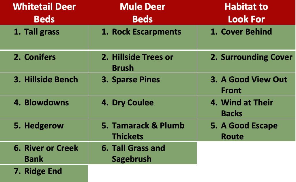 Mule Deer Hunting photo