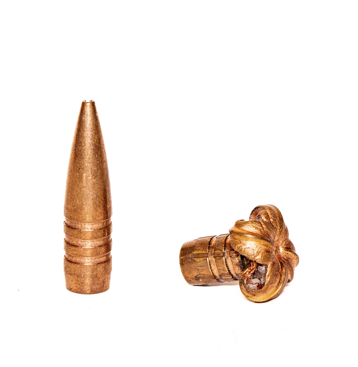 A unfired big game bullet next to a fired, or mushroomed, one. 