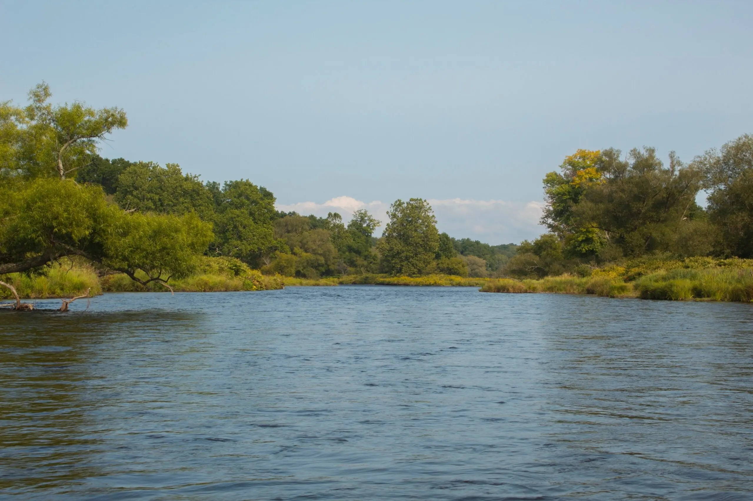 Fly Fishing photo