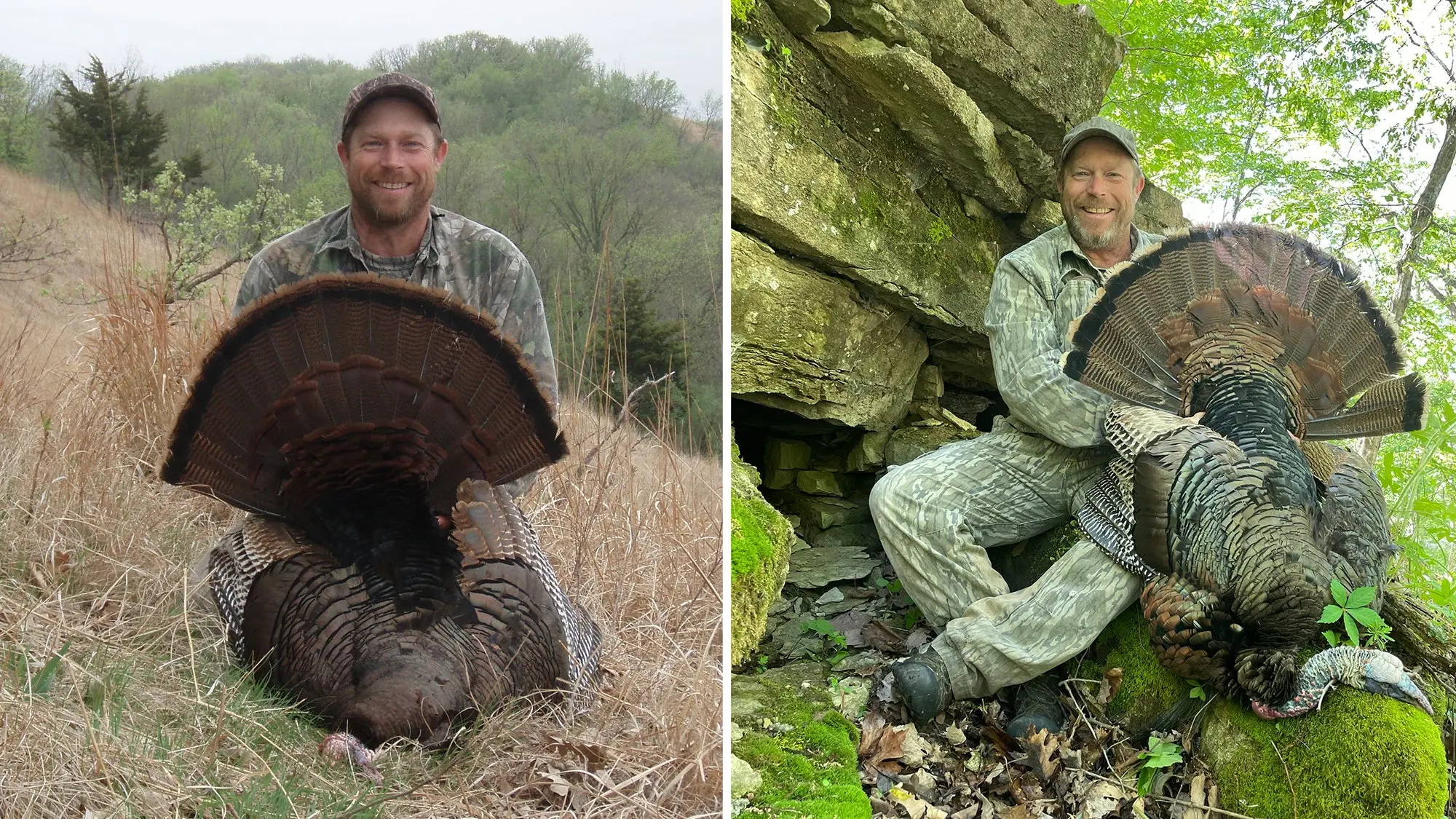 Two photos of expert turkey hunter Tom Weddle posing with a wild tom turkey.