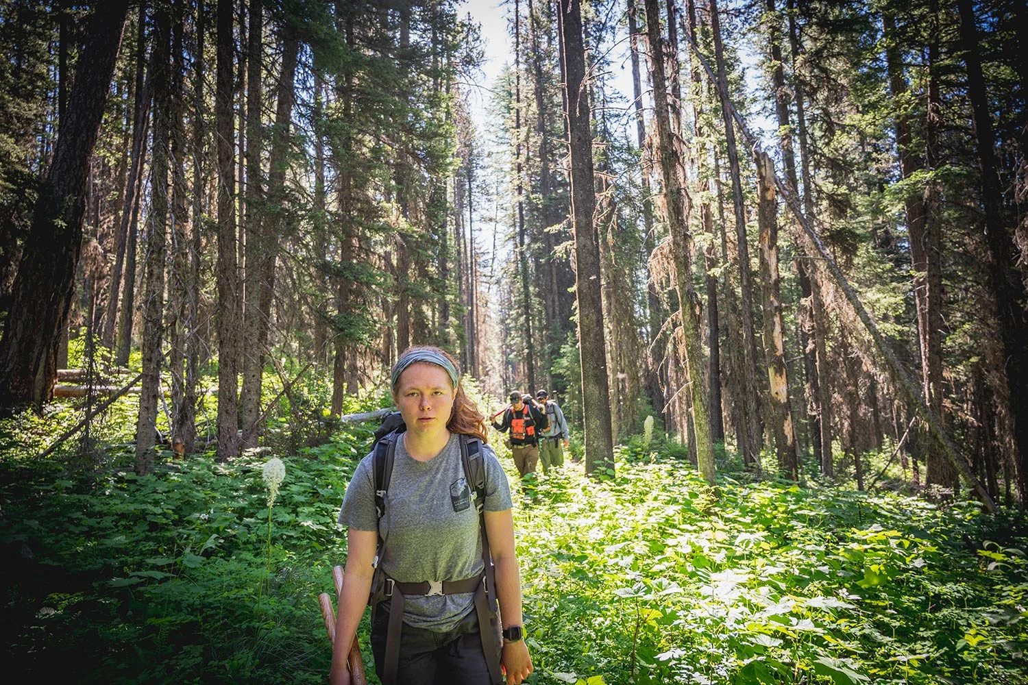 Hiker on a trail with two more behind