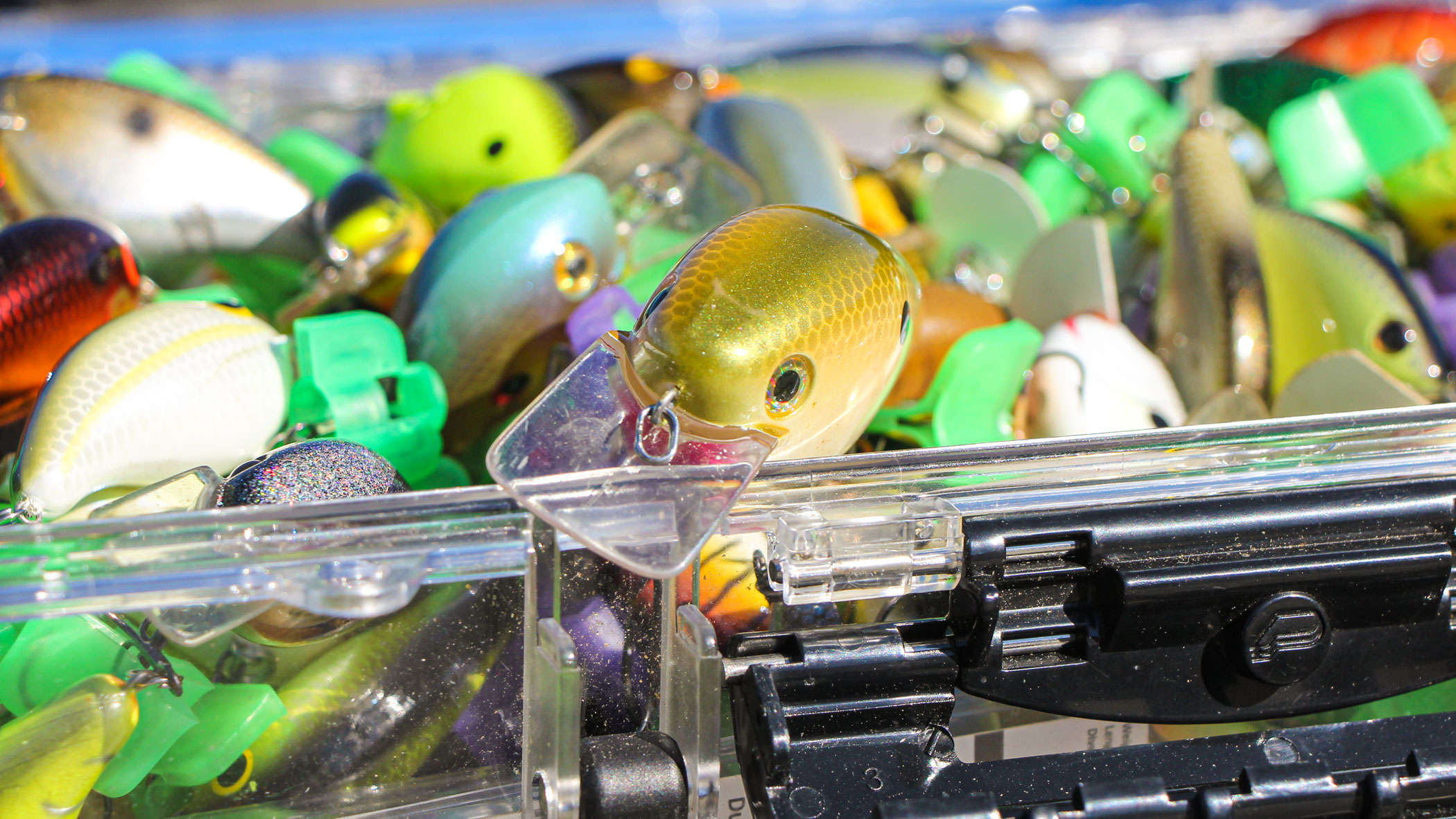 A tackle box full of crankbaits