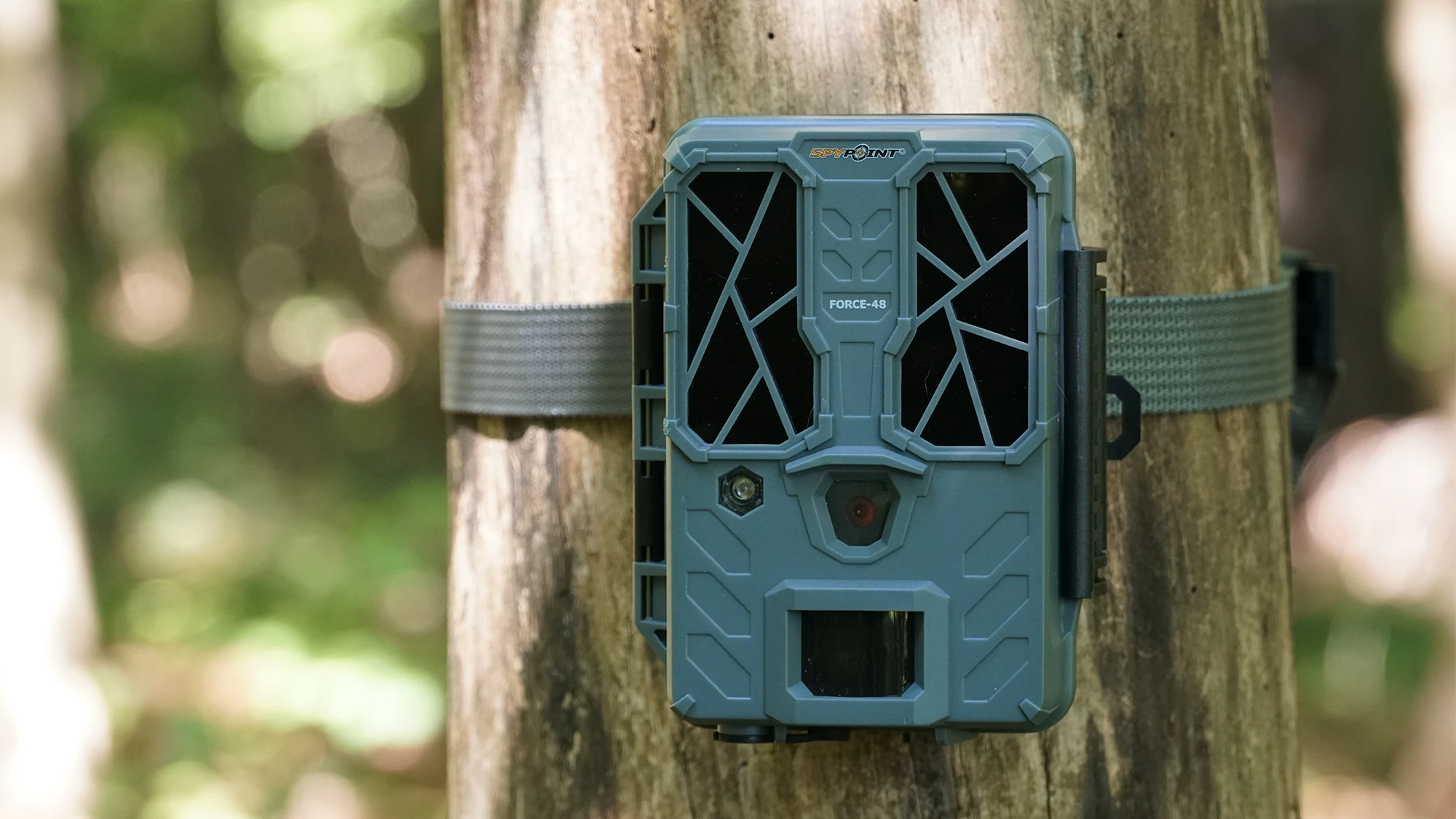 The new Spypoint Force 48 camera attached to a tree. 