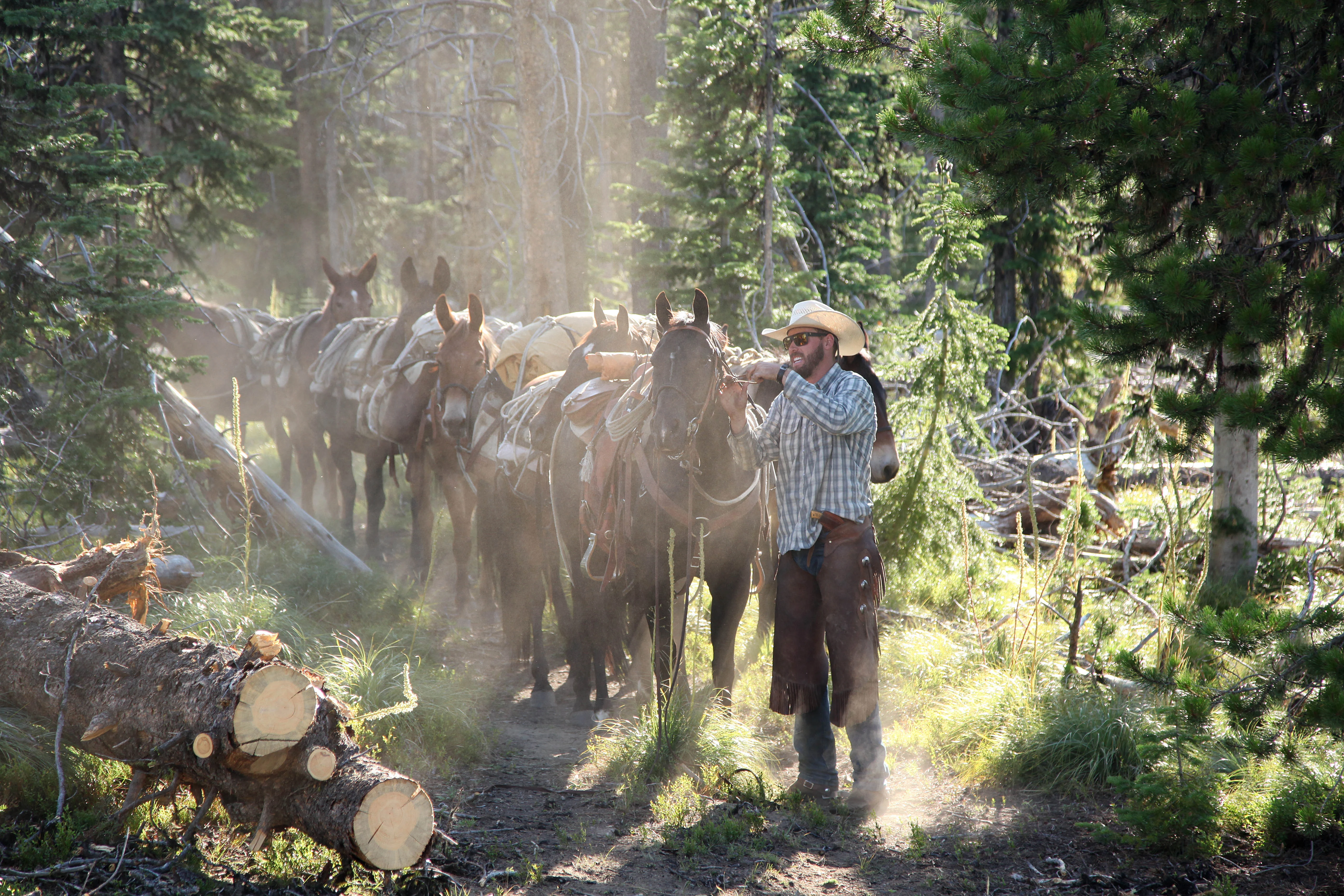 A Forest Service packer unload his packstring in the Frank Church River of No Return Wilderness in Idaho. 