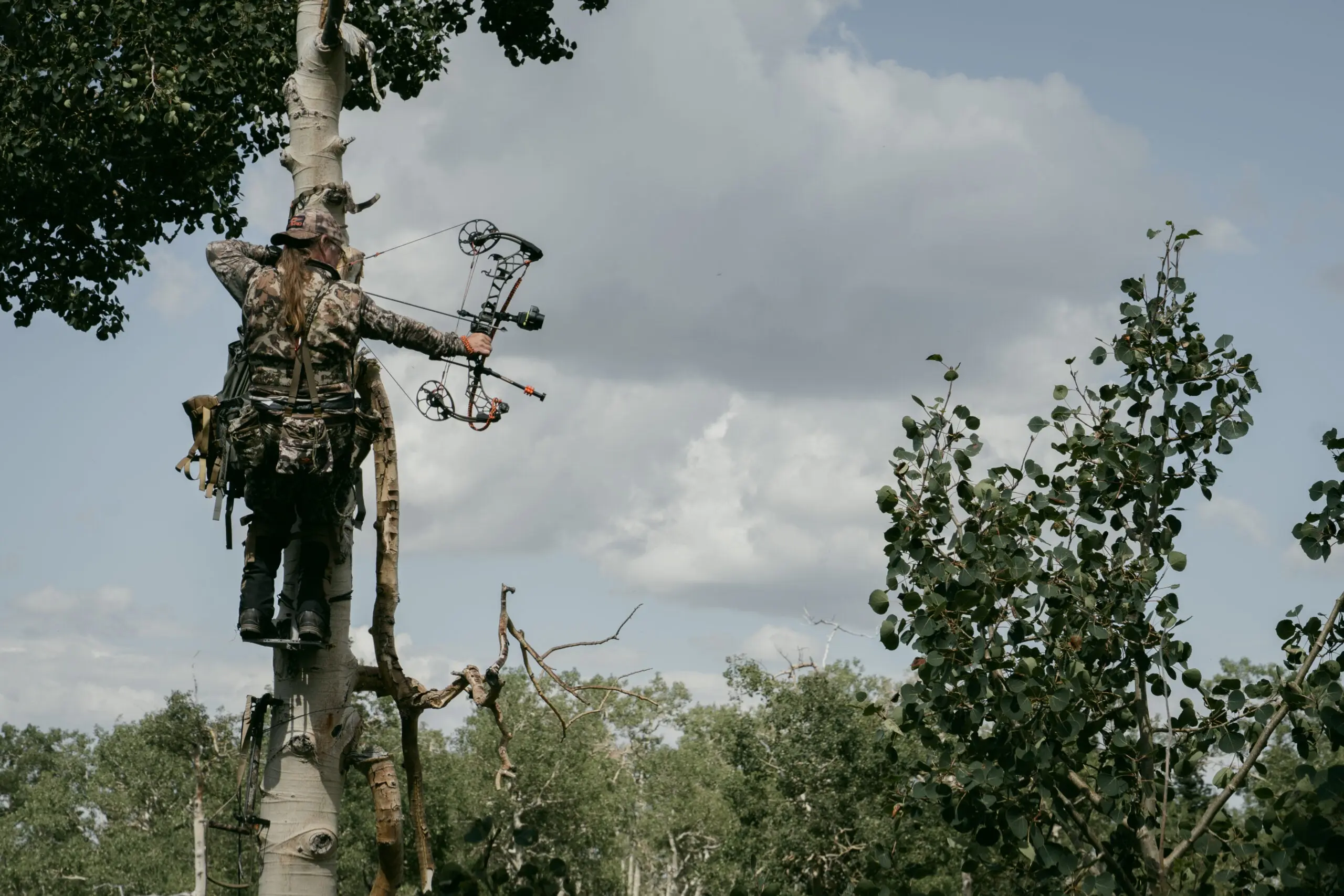 photo a person saddle hunting in remote woods