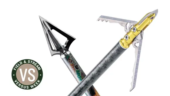 photo of archery broadheads