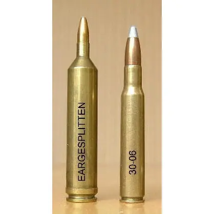 Two rifle cartridges on a orange background.