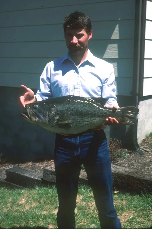 An angler poses with the Virginia record for largemouth bass. 