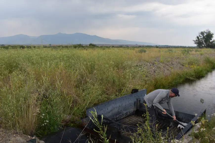 An employee of the Clark Fork Coalition maintains a fish screen near Dry Cottonwood Creek.