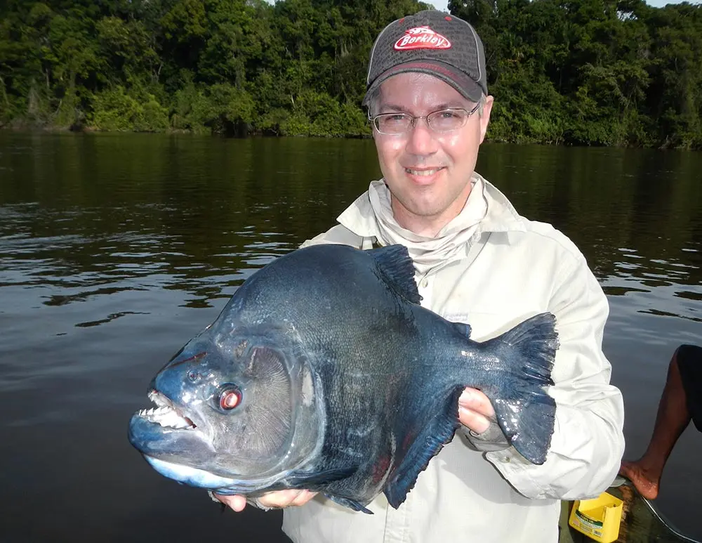 The menacing red eyes of a black piranha caught in South America.