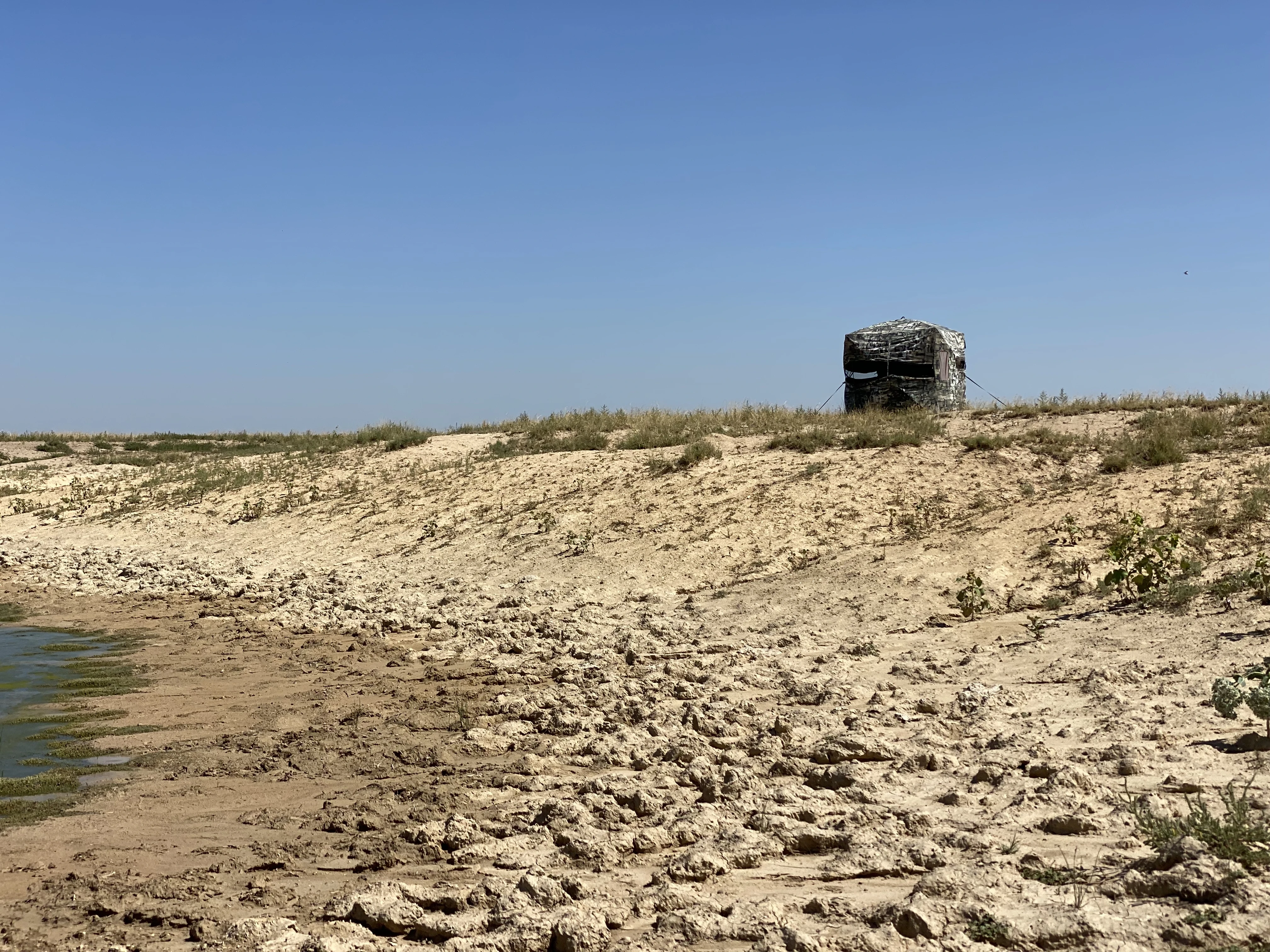 A ground blind overlooking a waterhole