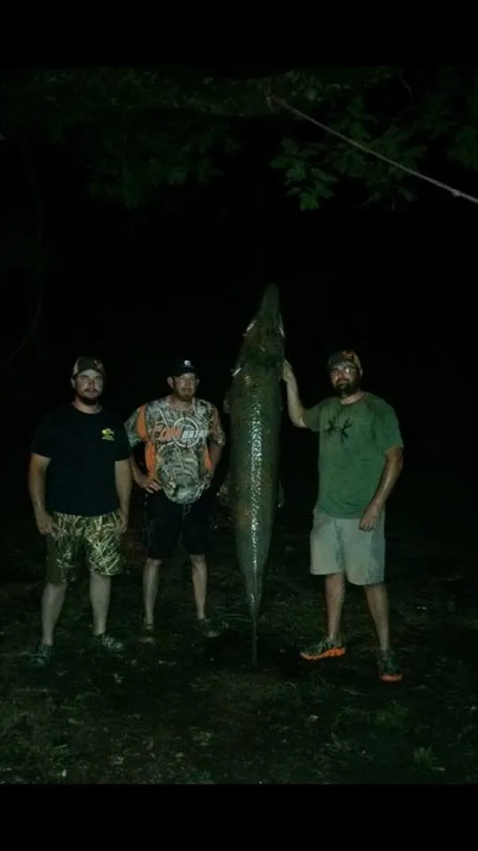 Bowfishermen pose with a record-breaking alligator gar.