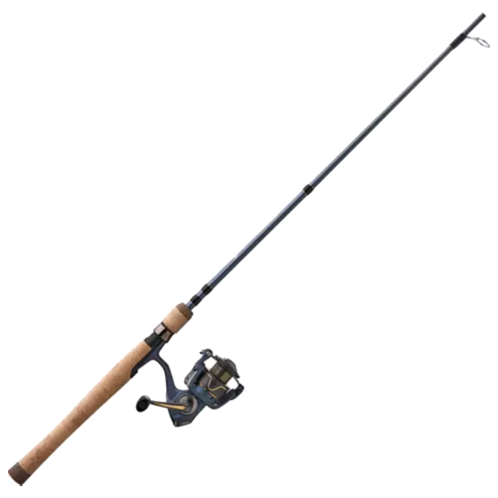 Pflueger President Spinning Combo