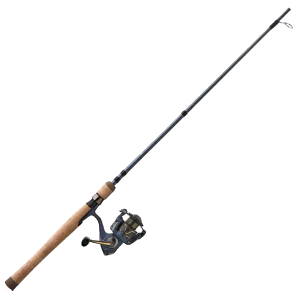 Pflueger President Spinning Combo