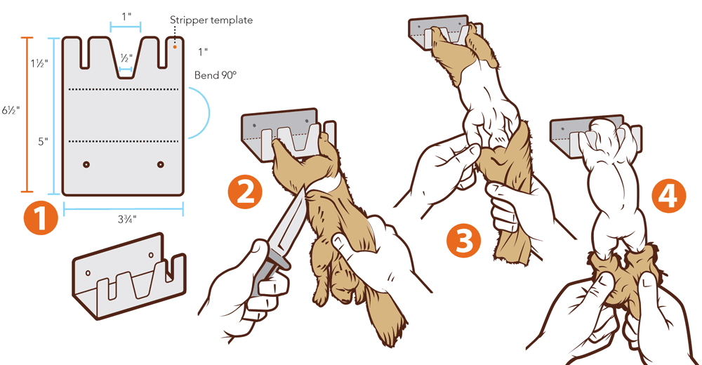 How to make a cajun Squirrel Skinner