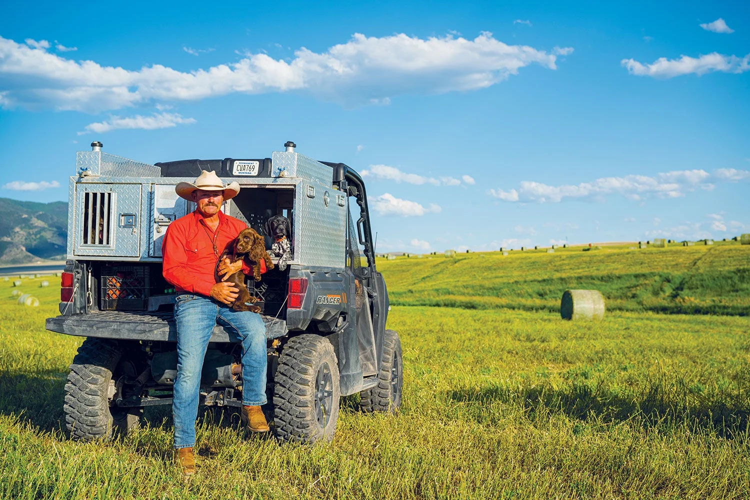 man holding puppy sits on back of truck with built-in kennels on mowed field