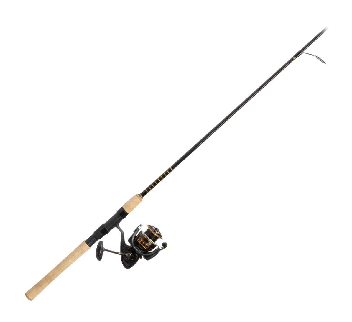 Daiwa BG Saltwater Combo