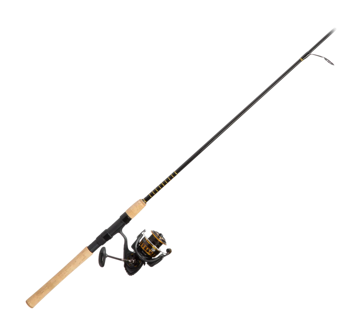 Daiwa BG Saltwater Combo