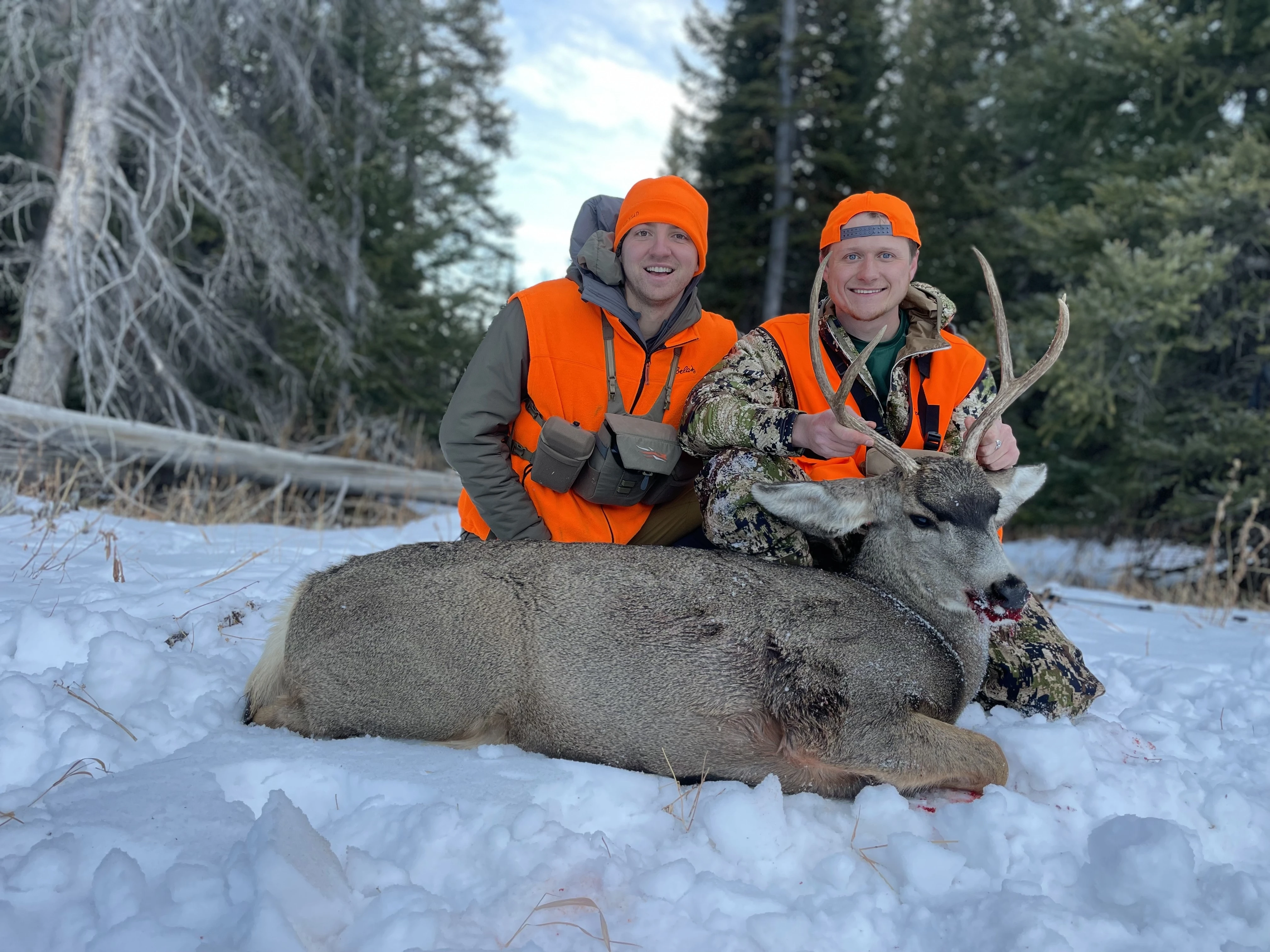 Hunters holding up a mule deer