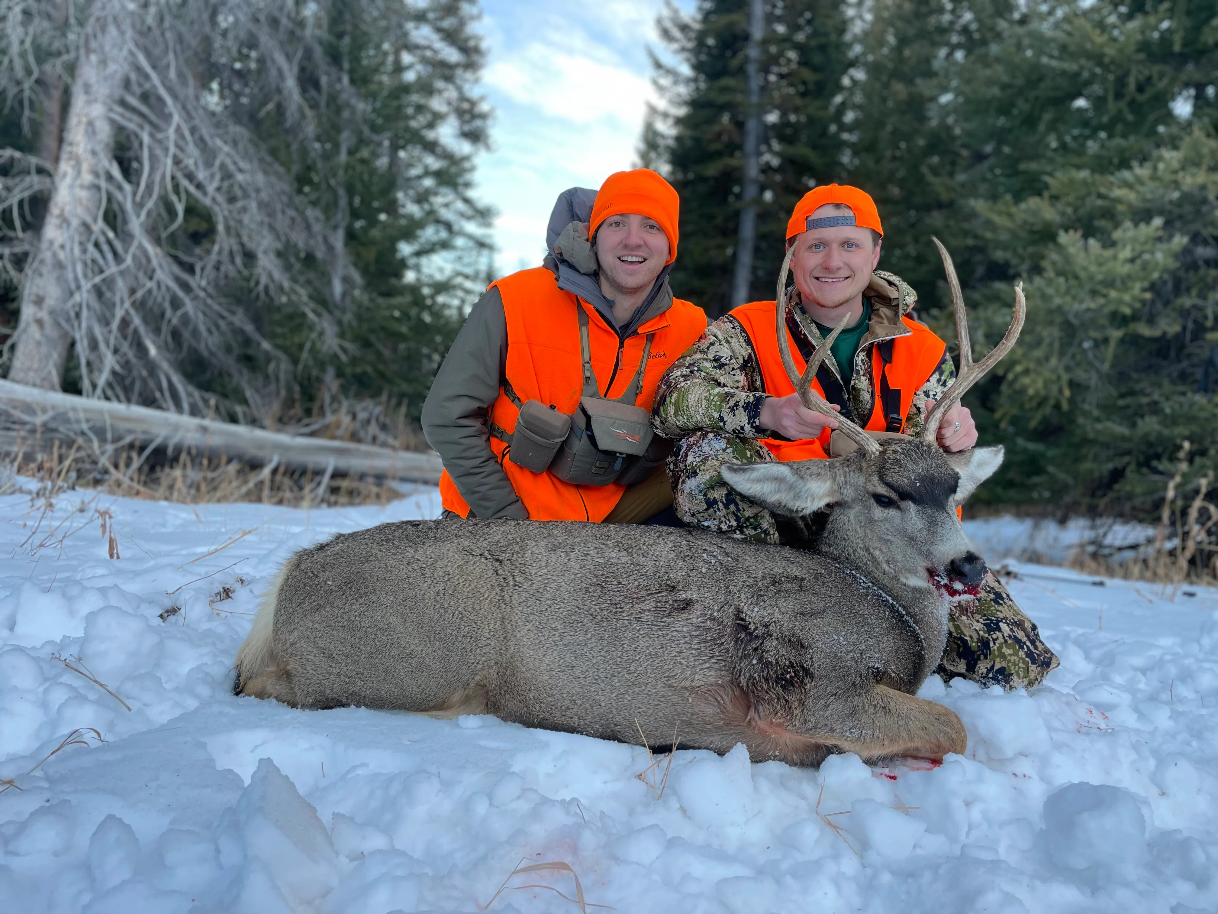 Hunters holding up a mule deer